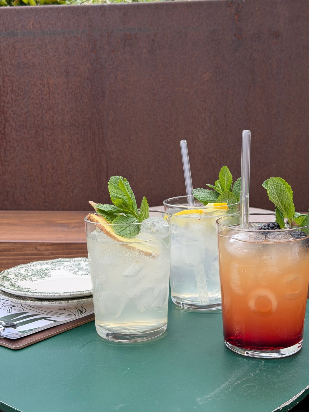 Hausgemachte Limonaden mit frischer Minze